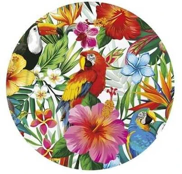 Fiesta Hawaii paptallerkner