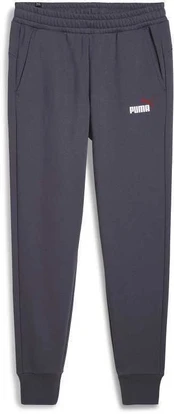 Puma Sportinės Kelnės Vyrams Ess+ 2 Col Logo Violetinė 586767 69