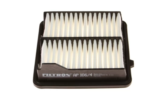 Oro filtras FILTRON AP106/4