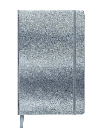 Knygutė INGOT 125x195mm, 80lapų langeliais sidabro
