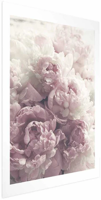Artgeist Plakatas - Delicate Peonies