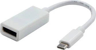USB USB-C – DisplayPort adapteris baltas