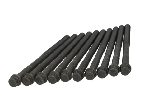 ELRING EL728080 Cylinder head bolt set