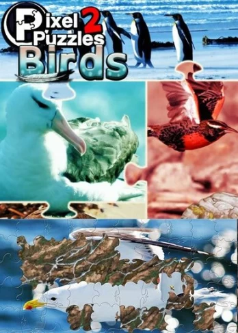 Pixel Puzzles 2: Birds Steam