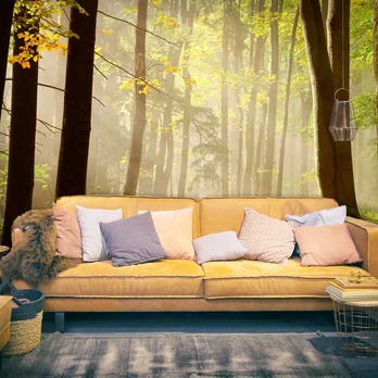 Artgeist Fototapetas - Mysterious forest path
