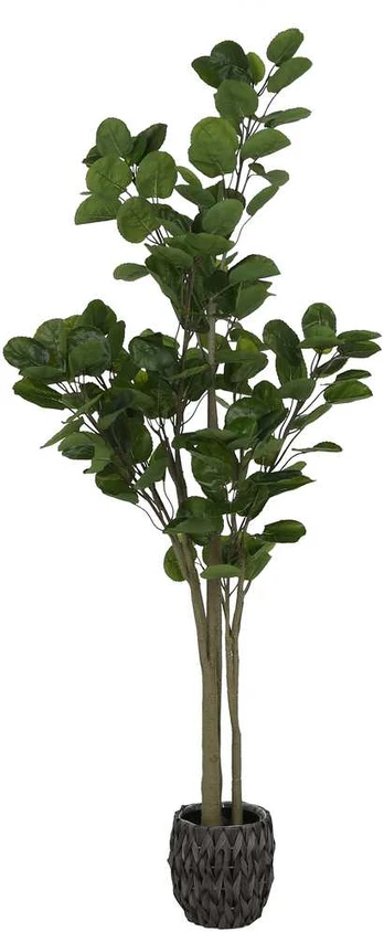 Dirbtinis augalas Laimės medis, 200 cm