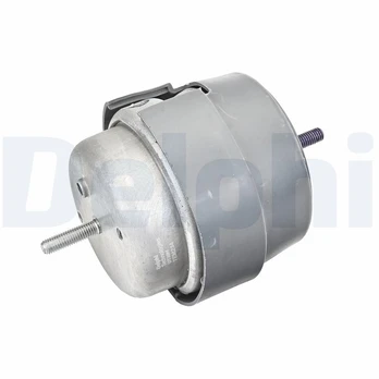 Variklio montavimas DELPHI TEM234