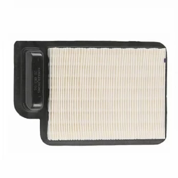 Filtras oro (Kohler) AF 6150, AN 5170, MTD