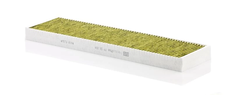 Salono filtras MANN-FILTER FP 52 004