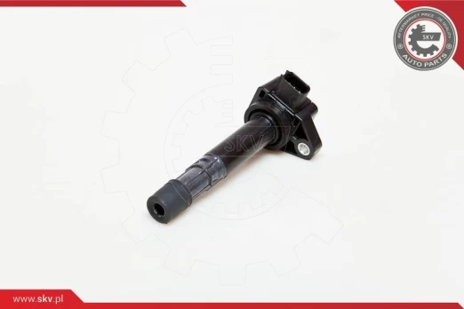Ritė, uždegimas ESEN SKV 03SKV155
