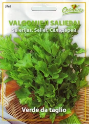 Salierų sėklos VERDE DA TAGLIO, 2 g kaina