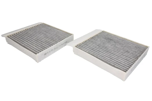 Filtras, salono oras MANN-FILTER FP25034-2