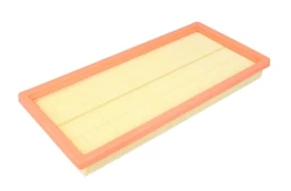 Oro filtras FILTRON AP022/3 kaina