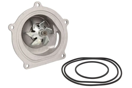 Aušinimo skysčio siurblys SKF VKPC 87813