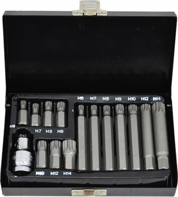 AW-Tools AWTools AWTOOLS SPLINE TIPS 15 vnt. BL AW35119BL