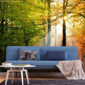 Artgeist Fototapetas - Forest Colours