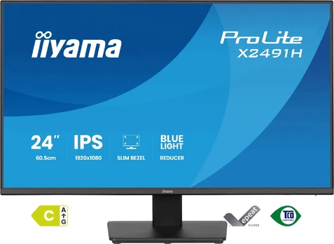 Monitorius IIYAMA X2491H-B1