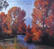 CD Pavement - Major Leagues