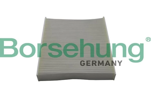 Filtras, salono oras Borsehung B10514