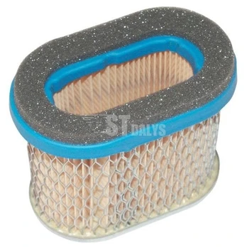Oro filtras (4224)