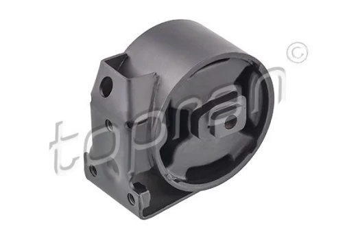 Variklio montavimas TOPRAN 102 738