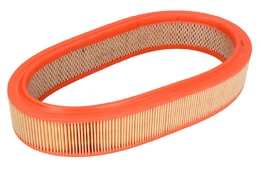 Oro filtras FILTRON AE277 kaina