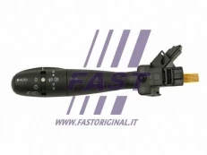 Vairo kolonėlės jungiklis FAST FT82132 kaina
