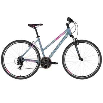 KELLYS Clea 10 M 28" dydis 19" (48cm) (pilka/rožinė)