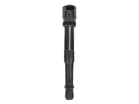 Ritė, uždegimas MAGNETI MARELLI 060717074012