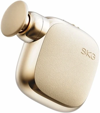 SKG FS300 kišeninis
