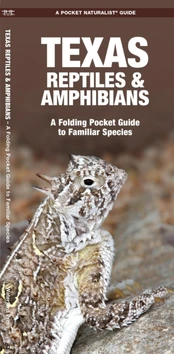 Texas Reptiles & Amphibians