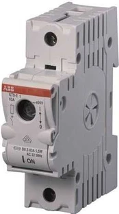 ABB saugiklis 1P 63A D02 ILTS-E1 (2CDE101001R1901)