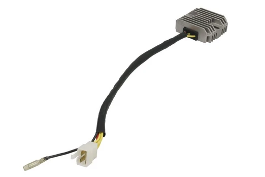 Įtampos reguliatorius DZE02336 (12V, 25A)