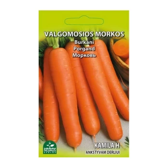 VALGOMOSIOS MORKOS KAMILA H