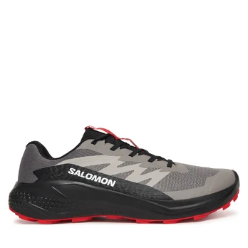 Bėgimo batai Salomon Alphaglide L48000800 Pilka