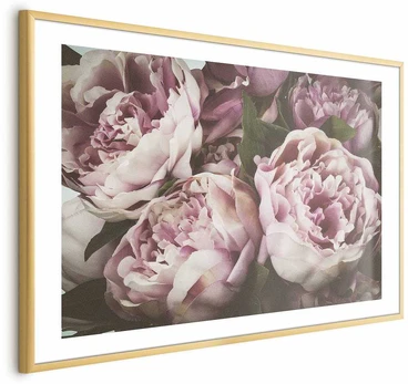 Artgeist Plakatas - Rožinė Peonies