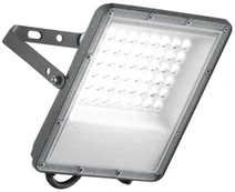 50W LED prožektorius ESUS, sidabro sp., CCT, IP65