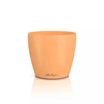 DECO 14, papaya