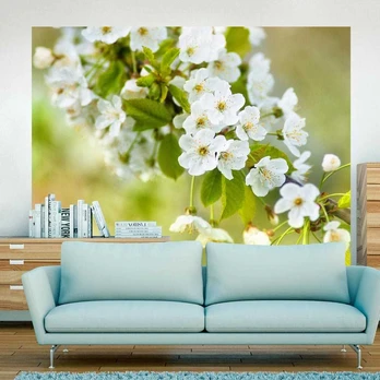Artgeist Fototapetas - Beautiful delicate cherry blossoms
