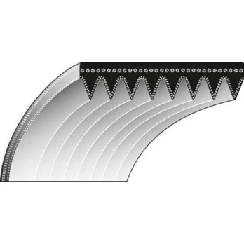 Diržas Kynast 18x572mm La