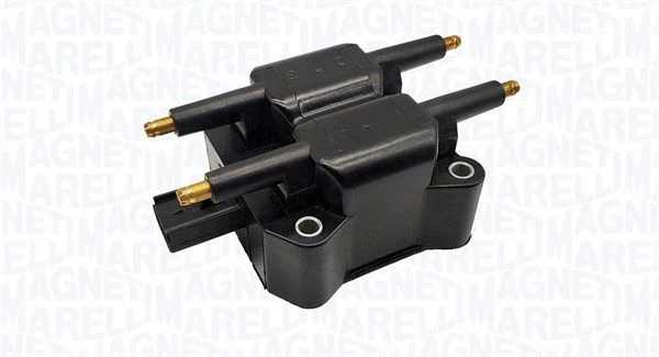 Ritė, uždegimas MAGNETI MARELLI 060717040012