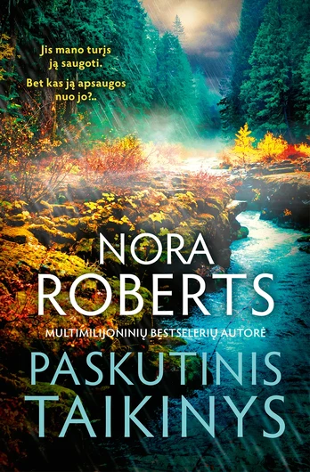 Paskutinis taikinys