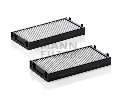 Salono filtras CUK2941-2