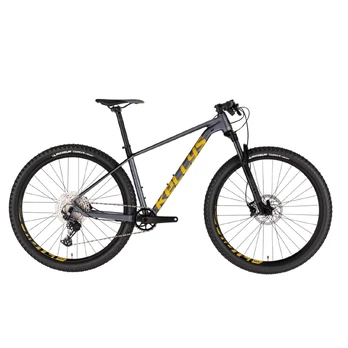KELLYS Gate 30 29" 12G dydis 19" (49cm) (pilkas)