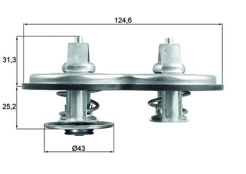 termostatas, aušinimo skystis MAHLE TX 141 83