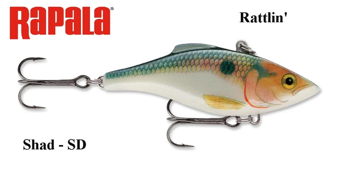 Vobleris Rapala Rattlin RNR Shad 4 cm