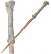 Vision Harry Potter tryllestav kaina