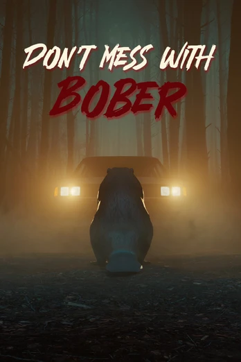 Don't Mess With Bober Xbox