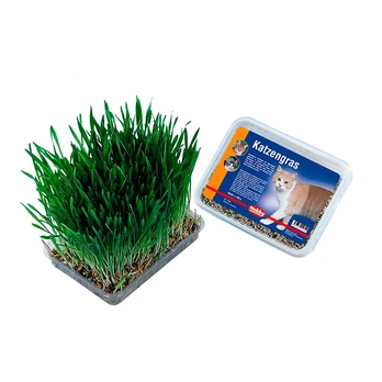 Nobby žolė katei, 100 g