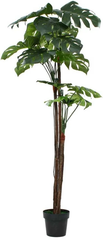 Dirbtinė monstera su vazonu, 170 cm, žalia